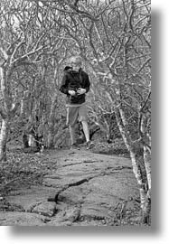 boys, childrens, ecuador, equator, galapagos islands, latin america, natural habitat, paths, people, vertical, walking, photograph