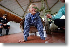 childrens, ecuador, equator, galapagos islands, girls, horizontal, latin america, natural habitat, people, shells, tortoises, photograph