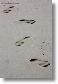 beaches, ecuador, equator, footprints, galapagos islands, latin america, sand, santa cruz, vertical, photograph