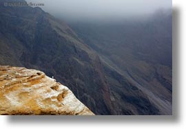 boobies, cliffs, ecuador, equator, galapagos islands, horizontal, latin america, nazca, santa cruz, photograph