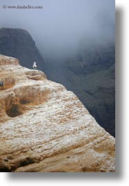 boobies, cliffs, ecuador, equator, galapagos islands, latin america, nazca, santa cruz, vertical, photograph