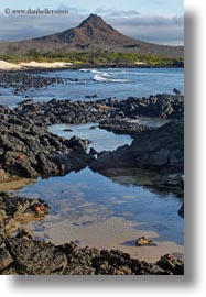 cerro, dragon hill, ecuador, equator, galapagos islands, latin america, montura, santa cruz, vertical, photograph