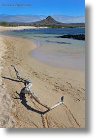 cerro, dragon hill, ecuador, equator, galapagos islands, latin america, montura, santa cruz, vertical, photograph
