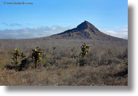 cerro, dragon hill, ecuador, equator, galapagos islands, horizontal, latin america, montura, santa cruz, photograph