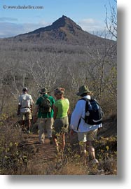 cerro, dragon hill, ecuador, equator, galapagos islands, latin america, montura, santa cruz, vertical, photograph