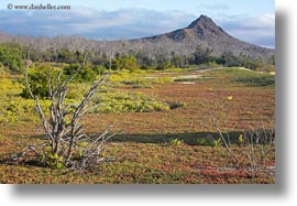 cerro, dragon hill, ecuador, equator, galapagos islands, horizontal, latin america, montura, santa cruz, photograph