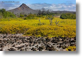 cerro, dragon hill, ecuador, equator, galapagos islands, horizontal, latin america, montura, santa cruz, photograph