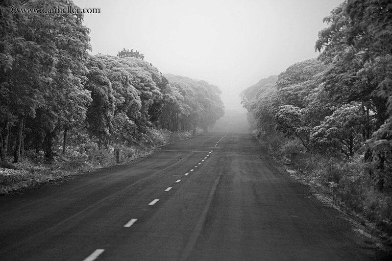 foggy-road-01-bw.jpg