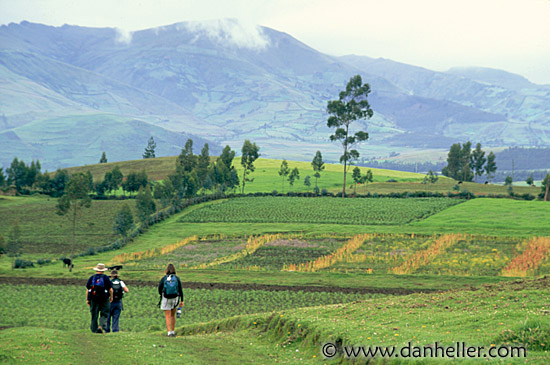 field-hiking-c.jpg