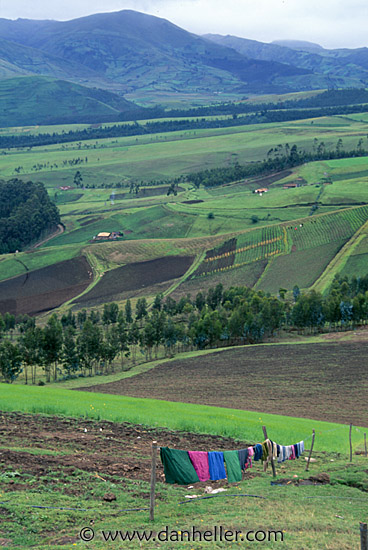 laundry-fields.jpg