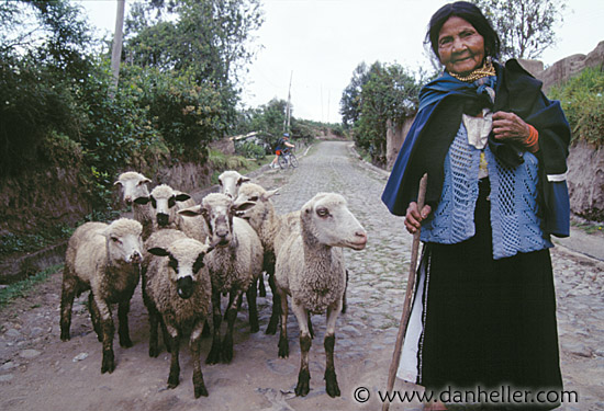 woman-sheep.jpg