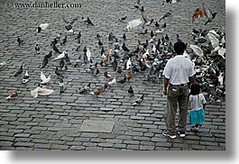 childrens, cobblestones, ecuador, equator, fathers, girls, horizontal, latin america, materials, pigeons, quito, photograph