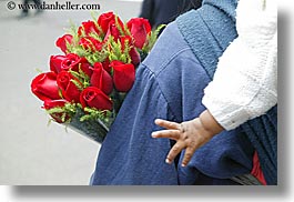 babies, ecuador, equator, hands, horizontal, latin america, quito, red, roses, photograph