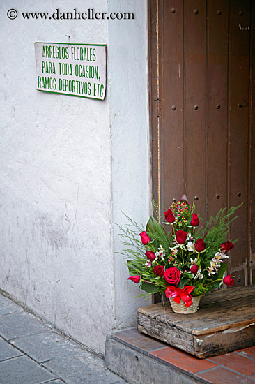 roses-on-doorstep.jpg