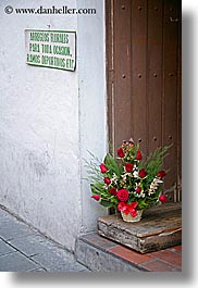 doorstep, ecuador, equator, latin america, quito, roses, vertical, photograph