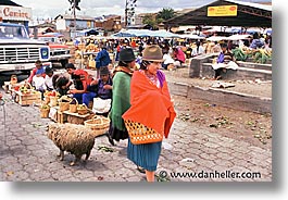 images/LatinAmerica/Ecuador/Saquisili/saquisili-market-c.jpg