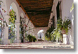 alamos, corridors, horizontal, latin america, mexico, photograph