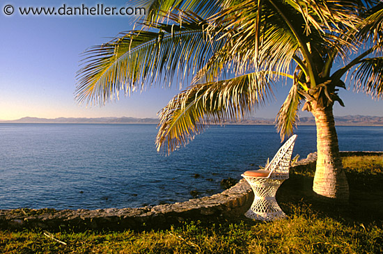 palm-chair02.jpg