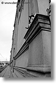 animals, cats, kitten, latin america, patagonia, vertical, walls, photograph