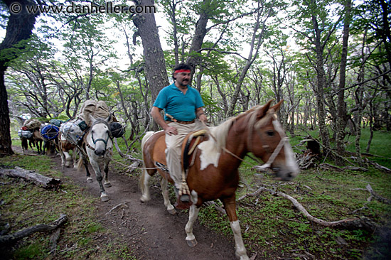 goucho-n-horses-1.jpg