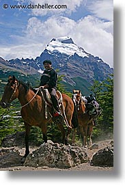 animals, goucho, horses, latin america, patagonia, vertical, photograph