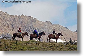 animals, horizontal, horseback, horses, latin america, patagonia, riding, photograph