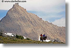 animals, horizontal, horseback, horses, latin america, patagonia, riding, photograph