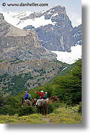animals, horseback, horses, latin america, patagonia, riding, vertical, photograph