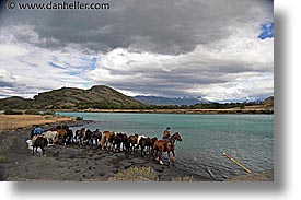 animals, horizontal, horses, latin america, patagonia, photograph