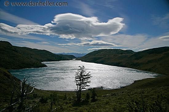 tree-lake-cloud.jpg