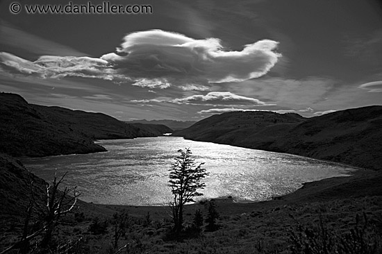 tree-lake-cloud-bw.jpg