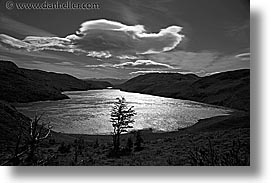 black and white, clouds, horizontal, lakes, latin america, patagonia, trees, photograph