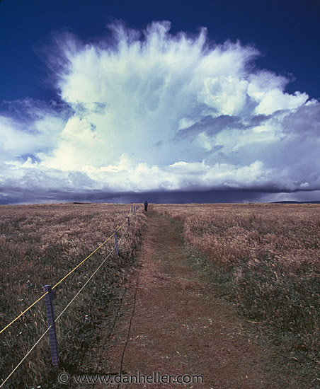 wire-fence.jpg