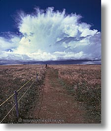 fences, latin america, patagonia, vertical, wires, photograph