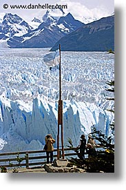 glacier viewing, glaciers, latin america, moreno glacier, patagonia, vertical, viewing, photograph