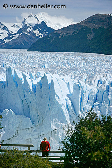 glacier-viewing-8.jpg