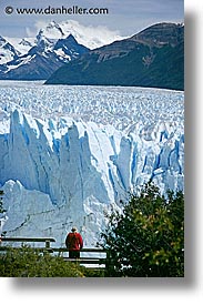 glacier viewing, glaciers, latin america, moreno glacier, patagonia, vertical, viewing, photograph