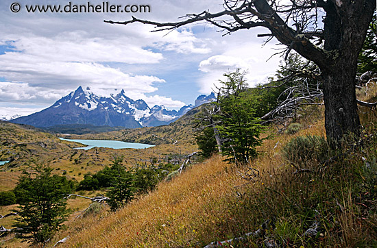 tree-lake-mtns.jpg