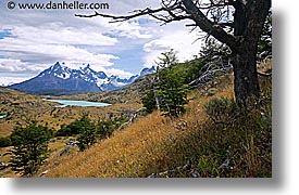 horizontal, lakes, latin america, mountains, patagonia, trees, photograph