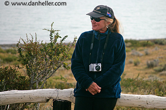 cindy-on-fence.jpg