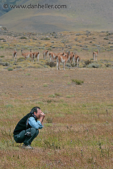 henry-shooting.jpg