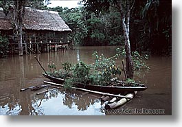 amazon, canoes, flowers, horizontal, jungle, latin america, peru, rivers, photograph