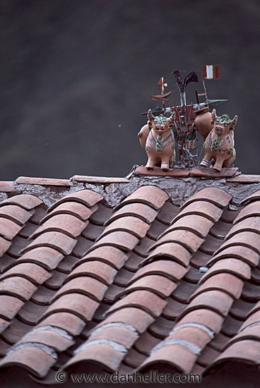 rooftop-cows.jpg