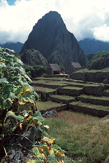 m-picchu-0012.jpg