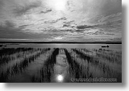 black and white, horizontal, latin america, peru, train tracks, trains, photograph