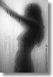 models, showers, torso, vertical, photograph