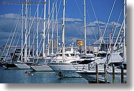 amex, auckland, boats, harbor, horizontal, new zealand, photograph