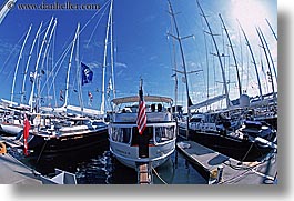 amex, auckland, boats, harbor, horizontal, new zealand, photograph