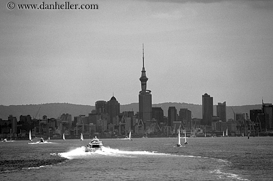 auckland-skyline-bw.jpg