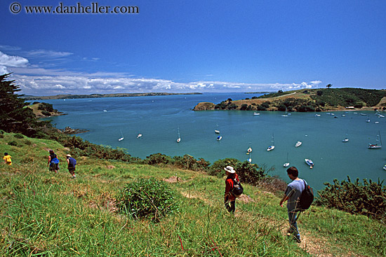 hike-waiheke-island-01.jpg